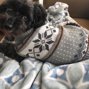 Meet your Posher, Bethany